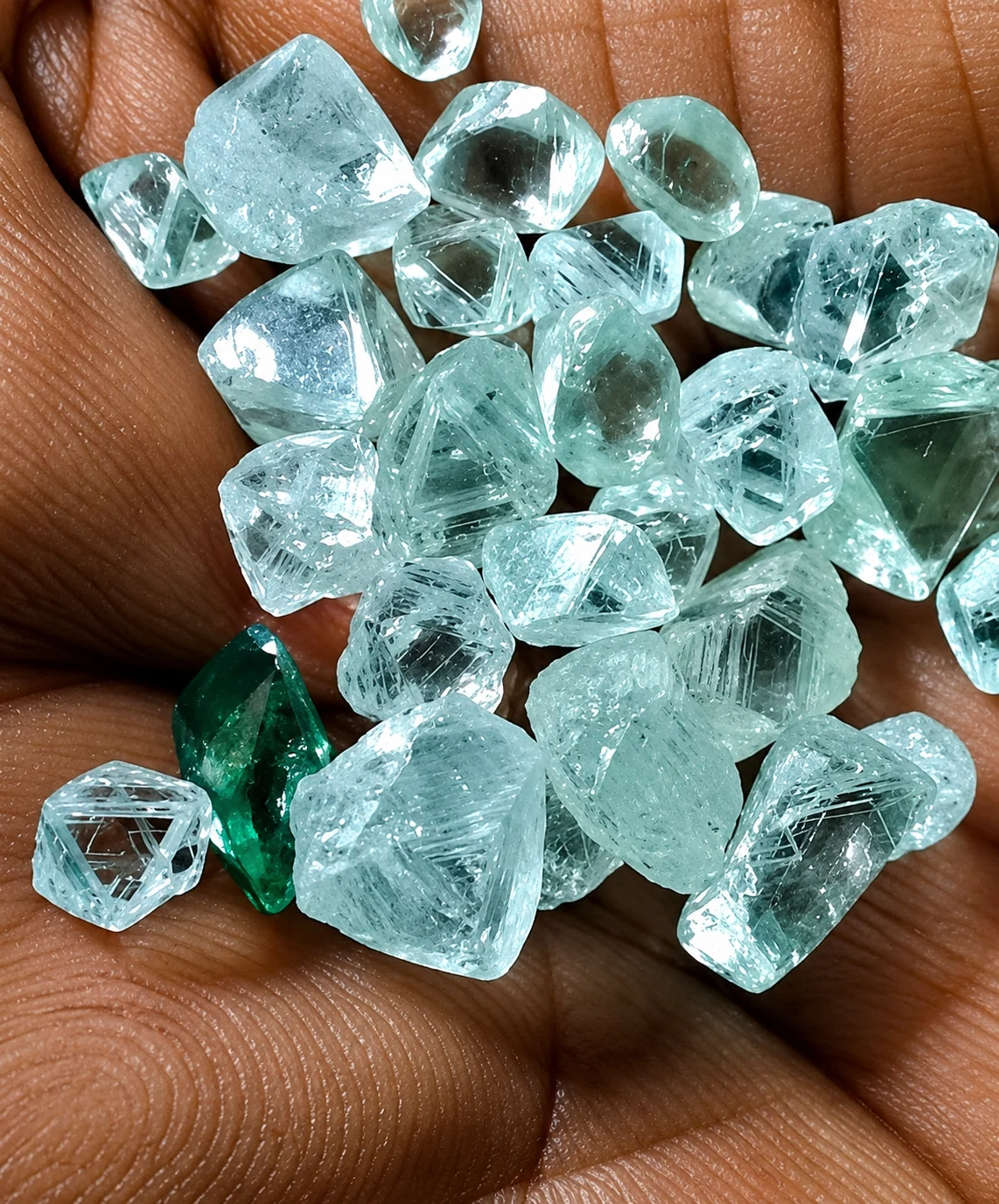 Clear, pale blue and green mineral samples held for inspection
